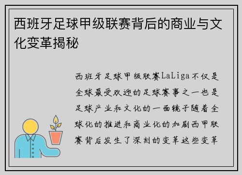 西班牙足球甲级联赛背后的商业与文化变革揭秘